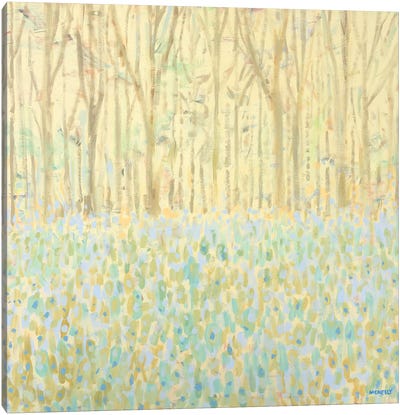 Yellow Birchwood Trees Canvas Art Print
