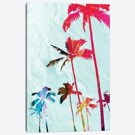 Colorful Palms Canvas Print #DAM175} by Dan Meneely Art Print