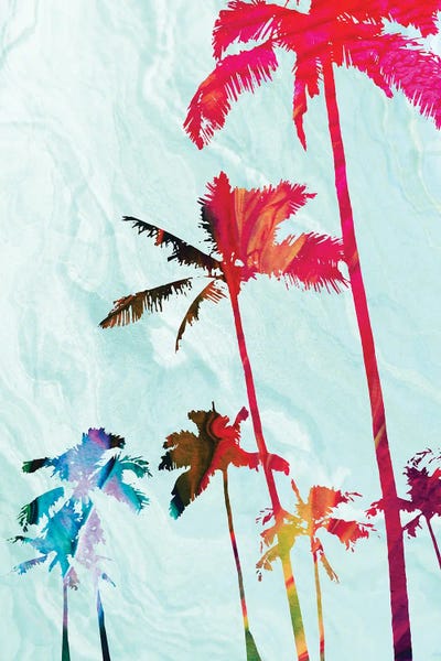 Fine Art Print: Colorful Palms by Dan Meneely