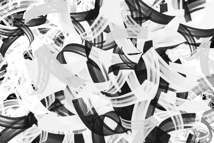 Mono-Magnum by Dan Meneely wall art
