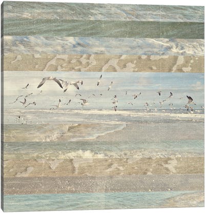 Flying Beach Birds I Canvas Art Print - Coastal & Ocean Abstract Art