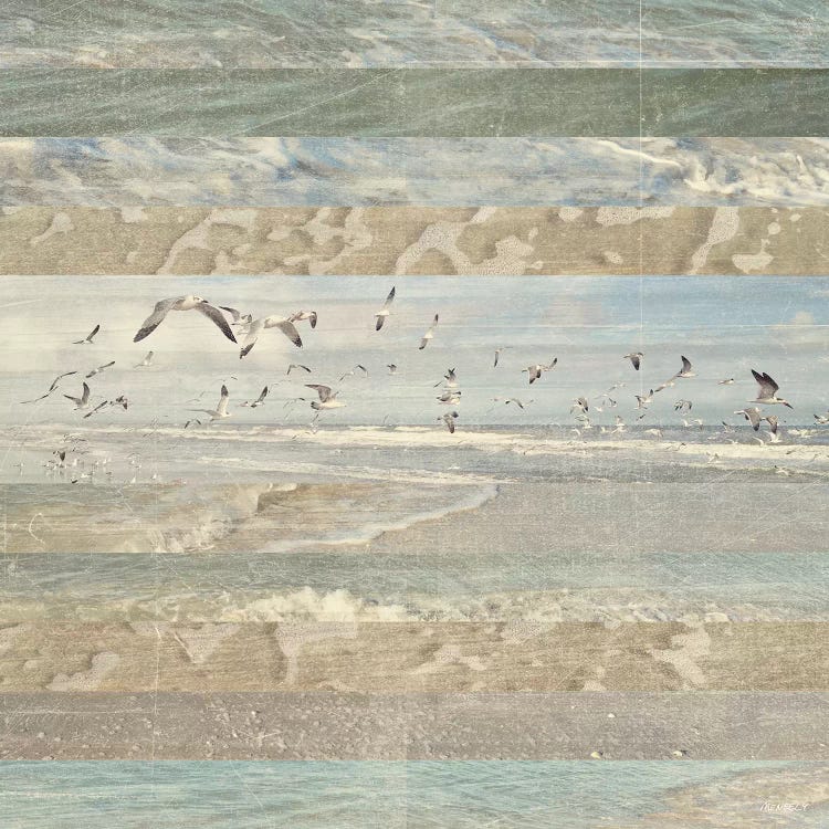 Flying Beach Birds I