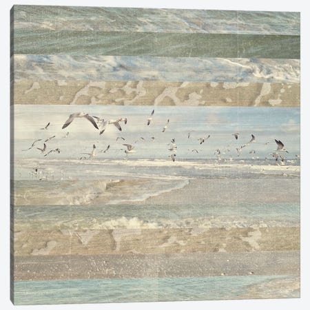 Flying Beach Birds I Canvas Print #DAM20} by Dan Meneely Art Print