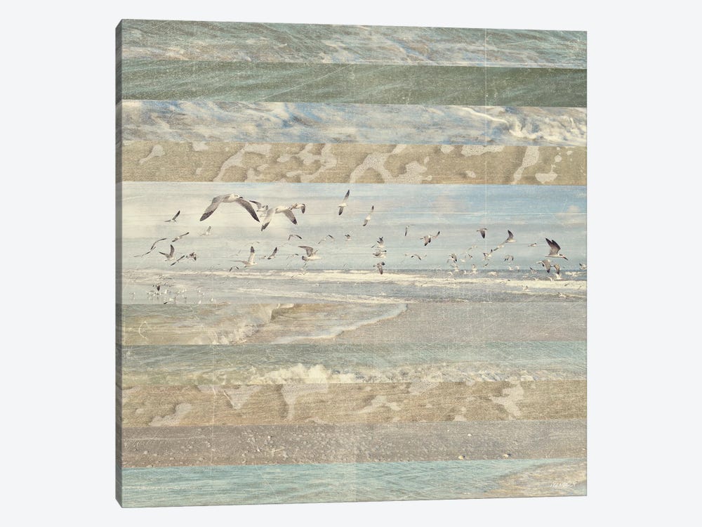Flying Beach Birds I by Dan Meneely 1-piece Canvas Art