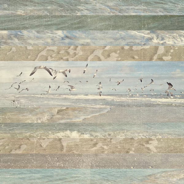 Coastal & Ocean Abstracts: Flying Beach Birds I by Dan Meneely