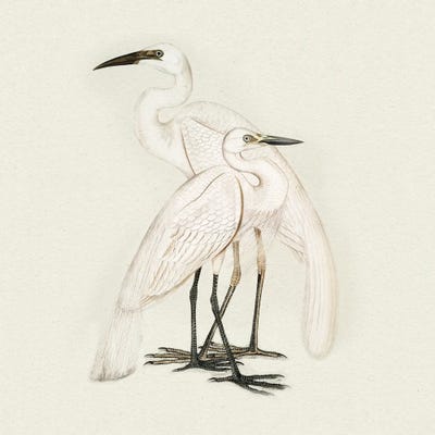 Dan Meneely - Framed Fine Art Prints: Two Quiet Observers by Dan Meneely