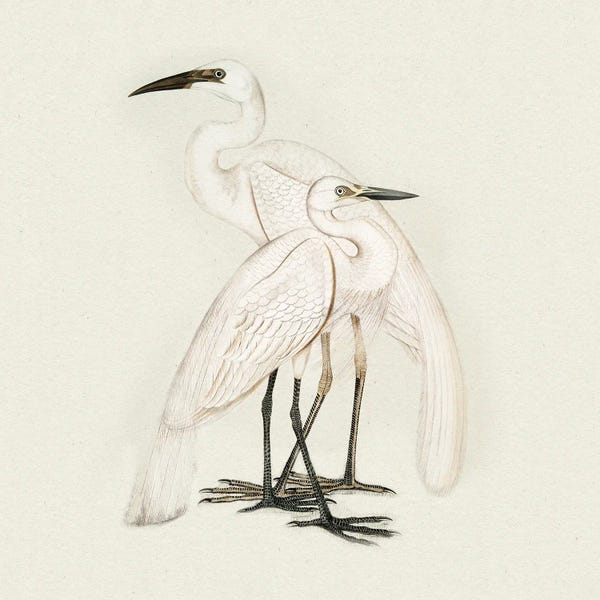 Dan Meneely: Two Quiet Observers by Dan Meneely