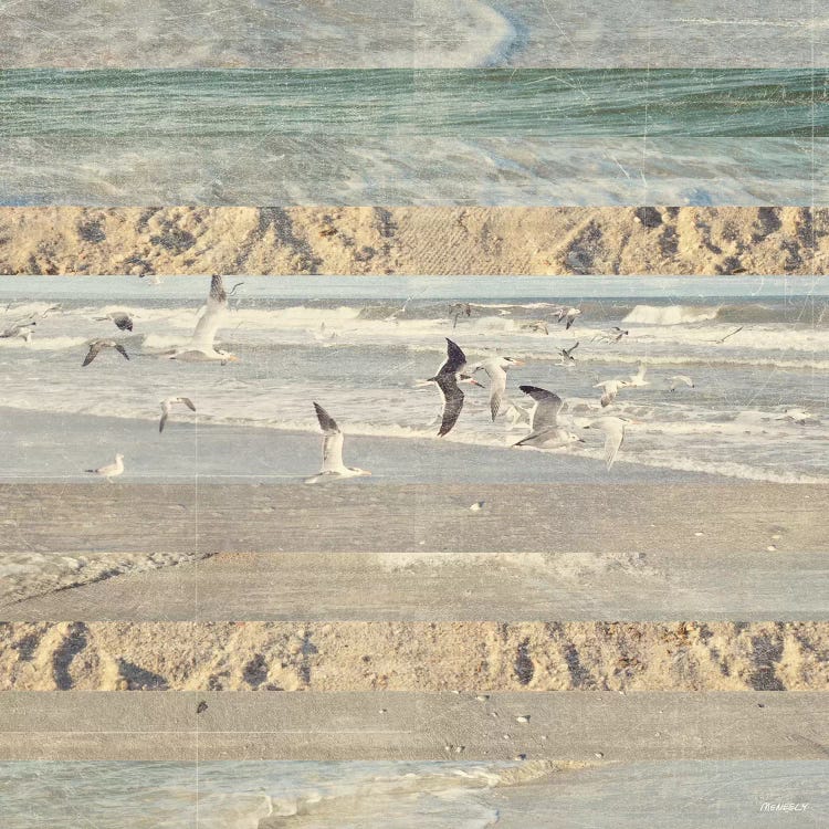 Flying Beach Birds II by Dan Meneely canvas print