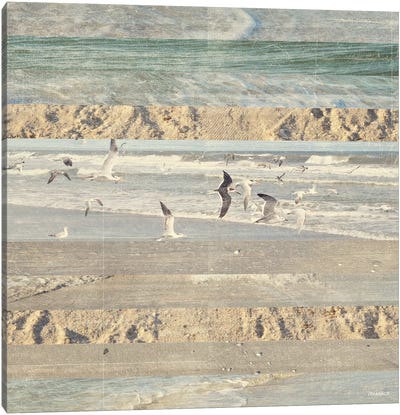 Flying Beach Birds II Canvas Art Print