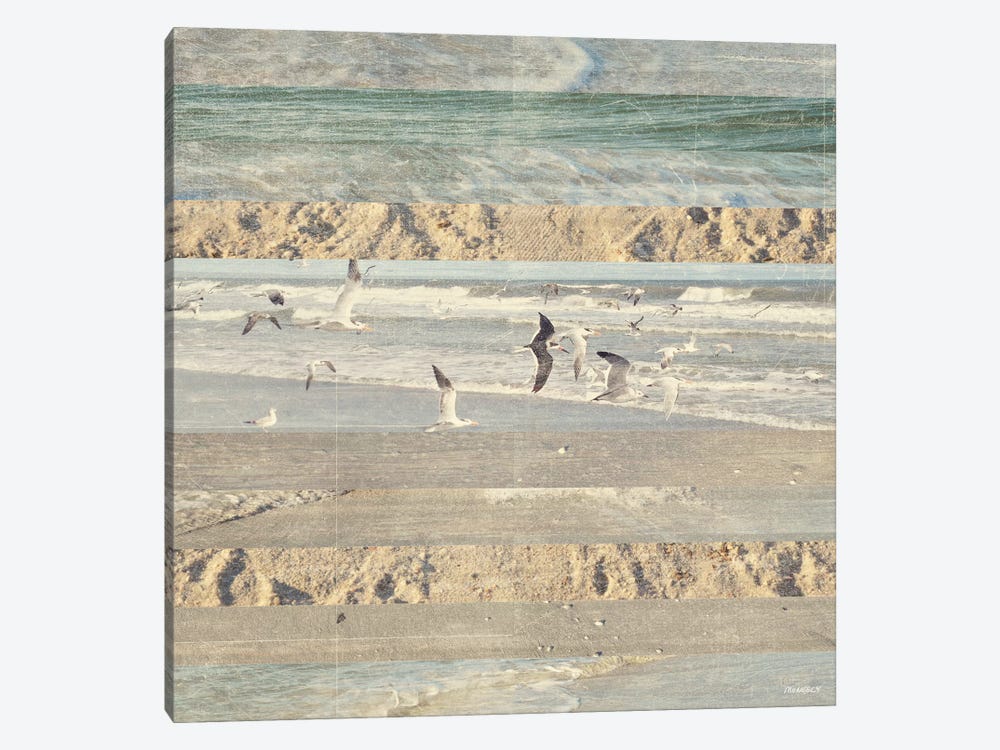 Flying Beach Birds II by Dan Meneely 1-piece Canvas Print