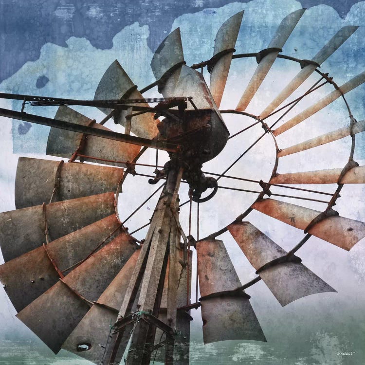 In the Wind by Dan Meneely wall art