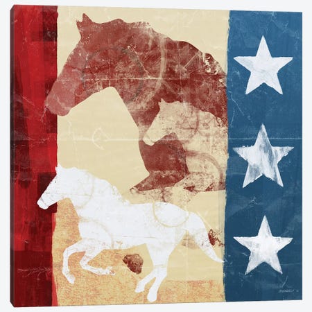 American Horse I Canvas Print #DAM2} by Dan Meneely Canvas Wall Art