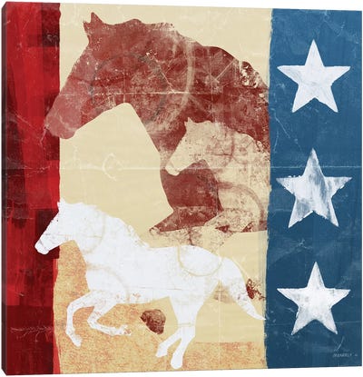 American Horse I Canvas Art Print