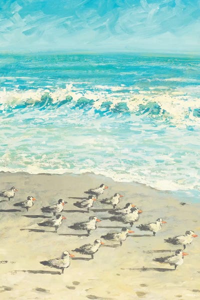Sandpipers: Sandpiper Beach Party by Dan Meneely