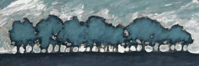 Tree Row Sunset by Dan Meneely canvas print