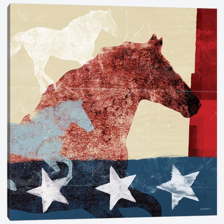 American Horse II Canvas Print #DAM3} by Dan Meneely Canvas Art