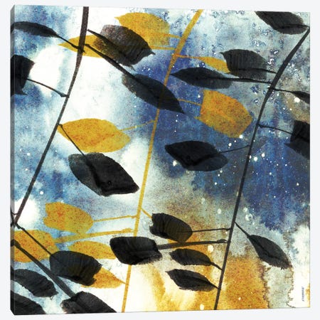 Autumn Leaves I Canvas Print #DAM4} by Dan Meneely Canvas Art Print