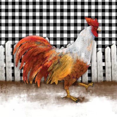 Morning Rooster I by Dan Meneely acrylic art print