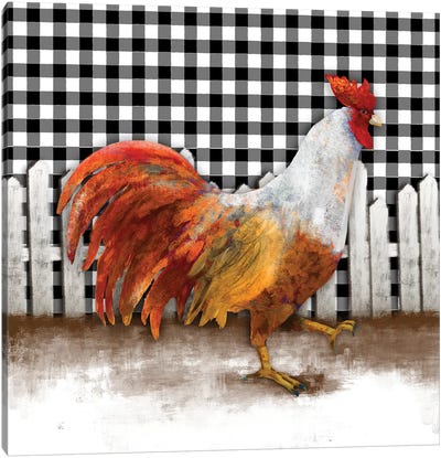 Morning Rooster I Canvas Art Print - Chicken & Rooster Art