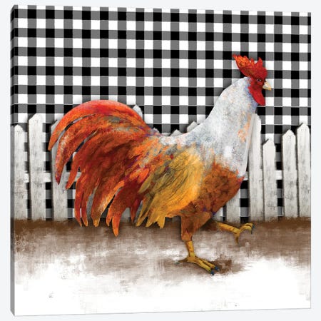 Morning Rooster I Canvas Print #DAM52} by Dan Meneely Canvas Artwork