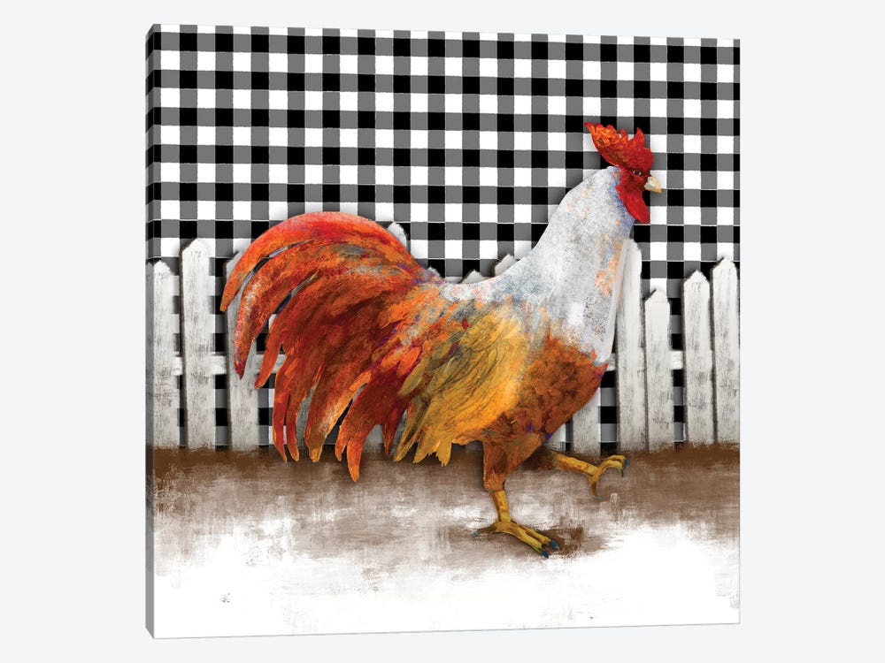 Morning Rooster I by Dan Meneely 1-piece Canvas Print