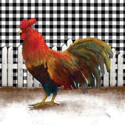 Morning Rooster II by Dan Meneely acrylic art print