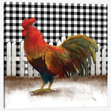 Morning Rooster II Canvas Print #DAM53} by Dan Meneely Canvas Artwork