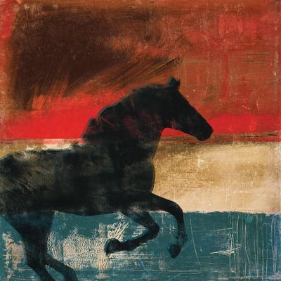 Wild And Free II by Dan Meneely canvas print