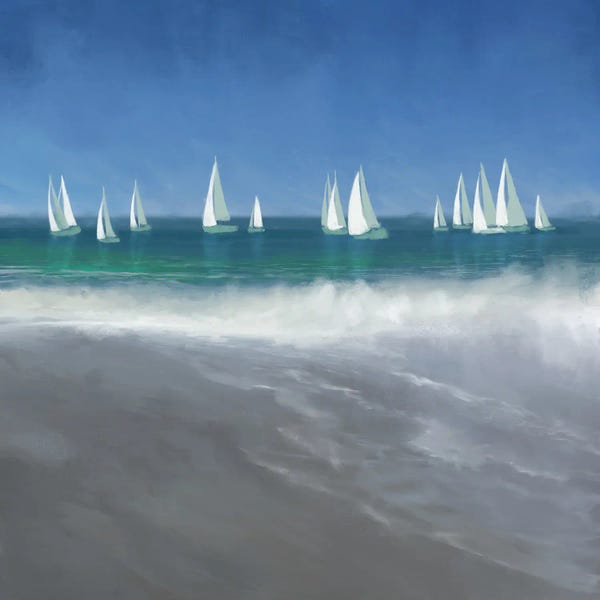 Harbors: Harbor Sailing by Dan Meneely