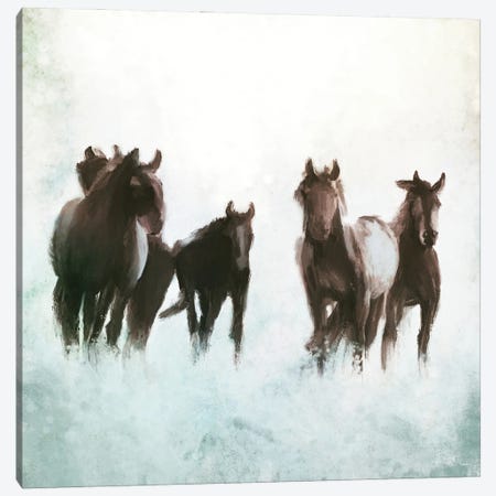 Horses Running through the Surf Canvas Print #DAM72} by Dan Meneely Canvas Wall Art