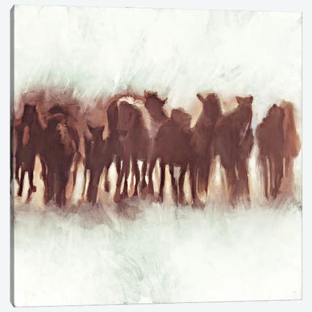 Team of Brown Horses Running Canvas Print #DAM74} by Dan Meneely Canvas Print
