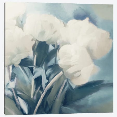 White Roses I Canvas Print #DAM76} by Dan Meneely Art Print
