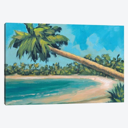 A Palm Tree Away Canvas Print #DAM77} by Dan Meneely Canvas Art Print
