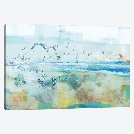 Beach Day Birds Canvas Print #DAM80} by Dan Meneely Canvas Print