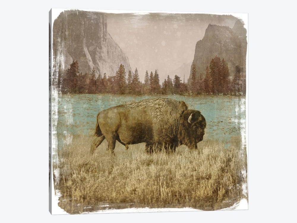 Bison in the Park by Dan Meneely 1-piece Canvas Print