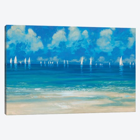 Blue Shores Canvas Print #DAM86} by Dan Meneely Canvas Art