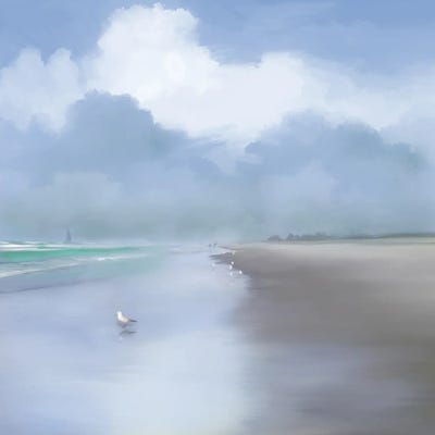 Coastal Beauty by Dan Meneely framed canvas print