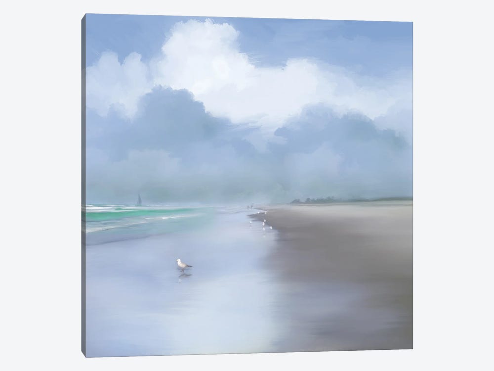 Coastal Beauty by Dan Meneely 1-piece Canvas Artwork
