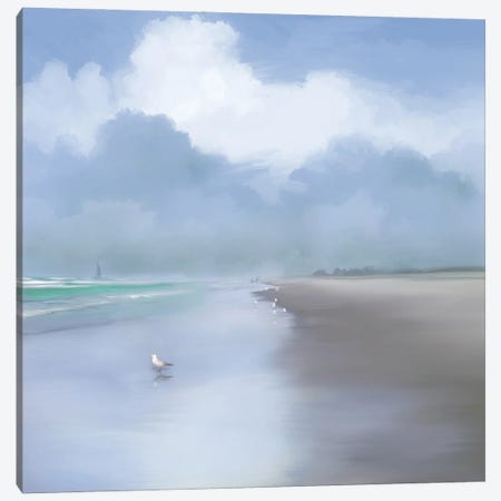 Coastal Beauty Canvas Print #DAM91} by Dan Meneely Canvas Artwork