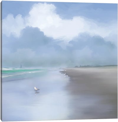 Coastal Beauty Canvas Art Print