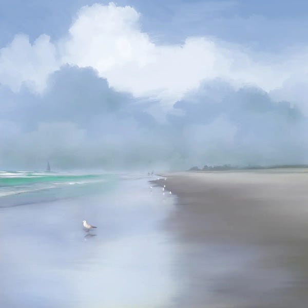 Coastal Beauty