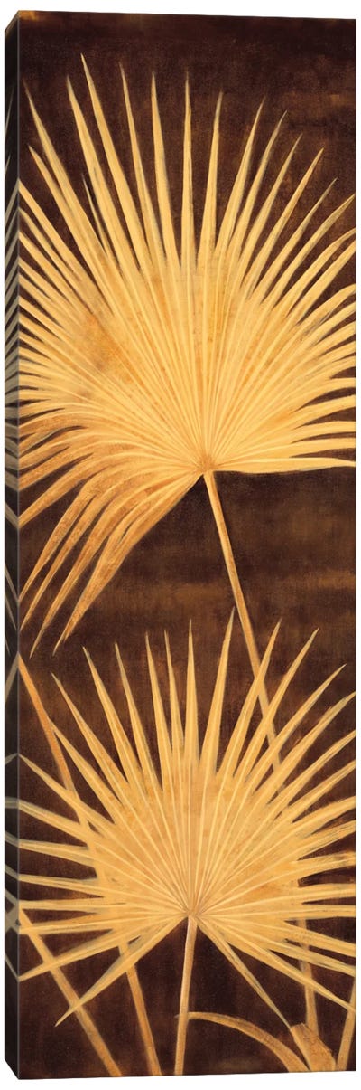 Fan Palm Triptych II Canvas Art Print