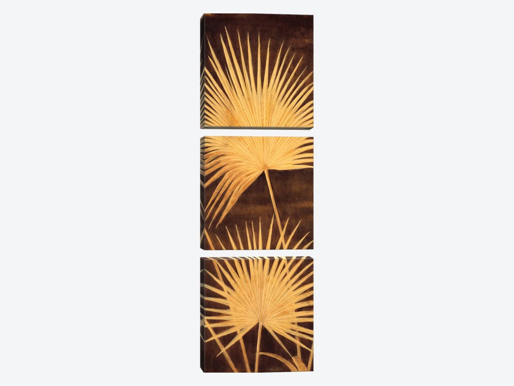 Fan Palm Triptych II by David Parks 3-piece Canvas Art