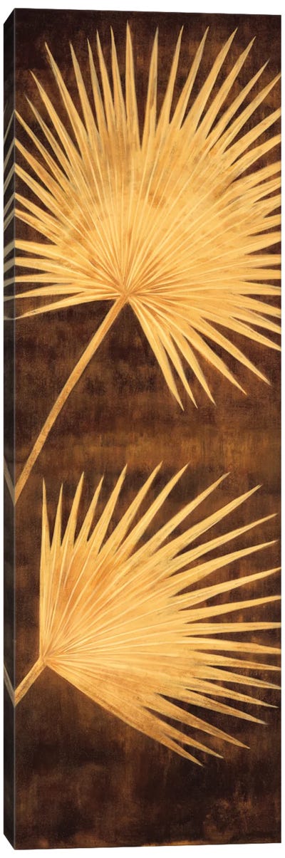 Fan Palm Triptych III Canvas Art Print
