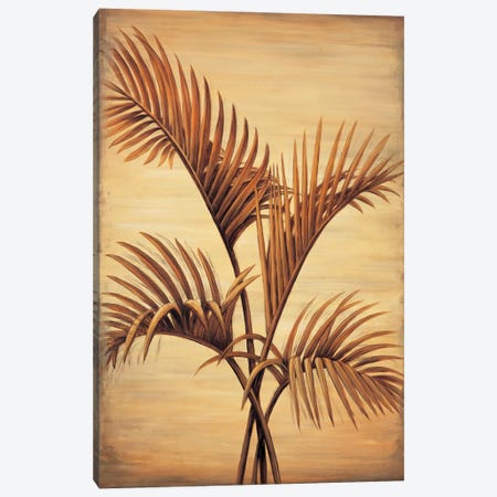 Treasured Palm I Canvas Print #DAP7} by David Parks Canvas Print