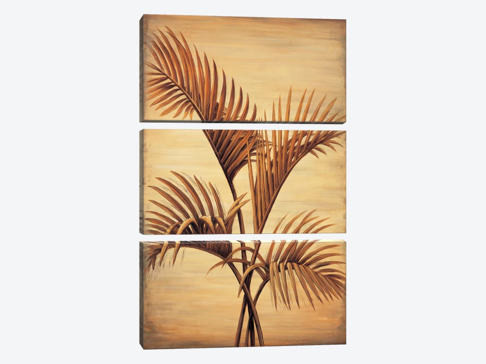 Treasured Palm I by David Parks 3-piece Canvas Print