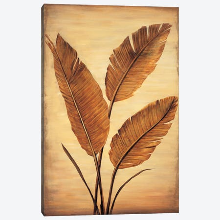 Treasured Palm II Canvas Print #DAP8} by David Parks Canvas Art