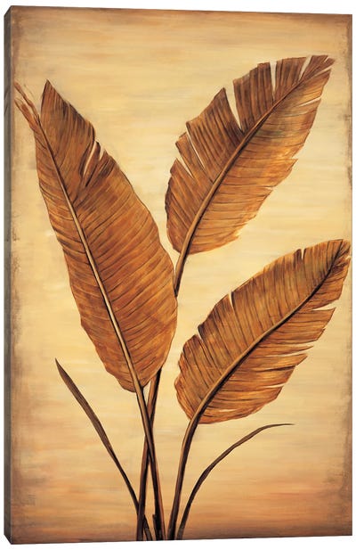 Treasured Palm II Canvas Art Print