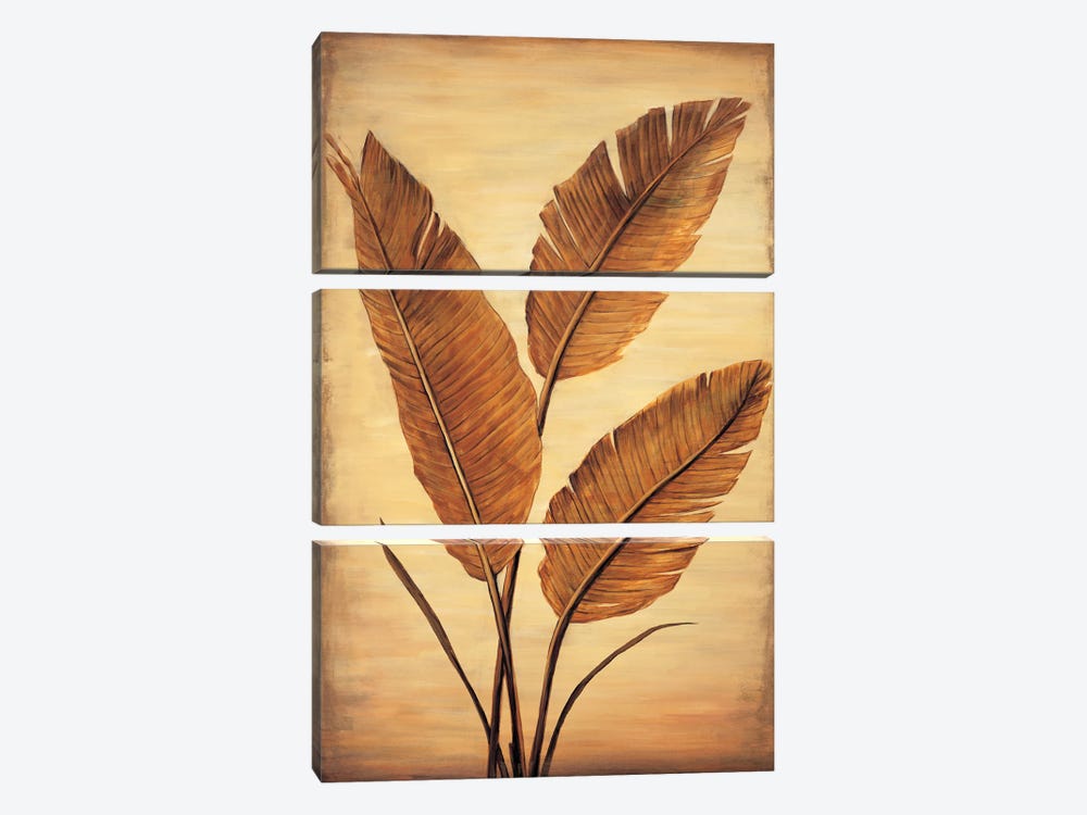 Treasured Palm II by David Parks 3-piece Canvas Wall Art