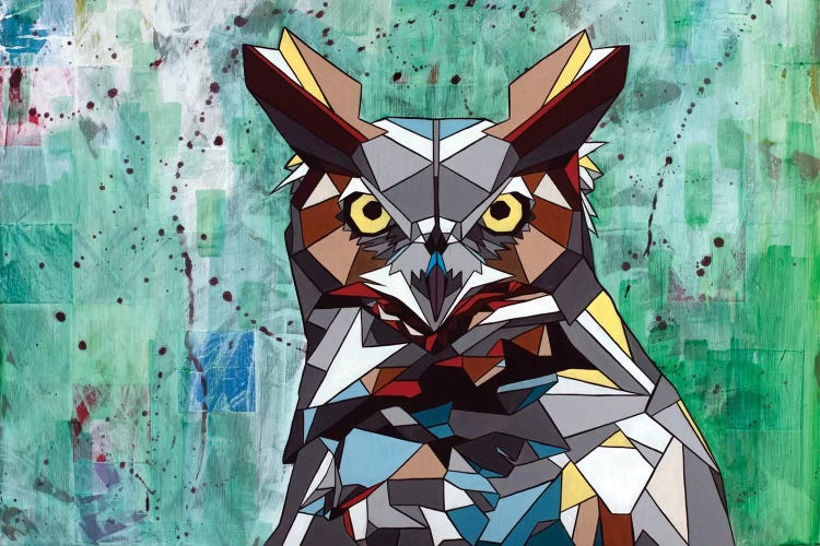 Owl by DAAS wall art